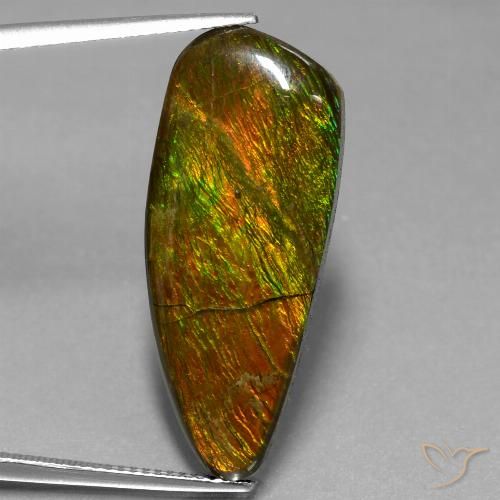 18.13ct Naturale Multicolore Ammolite, Taglio a fantasia, Opaco