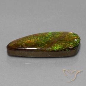 Ammolite Multicolore naturale da 18.13 ct, Taglio a fantasia, Opaco