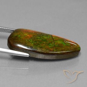 Ammolite Multicolore naturale da 18.13 ct, Taglio a fantasia, Opaco