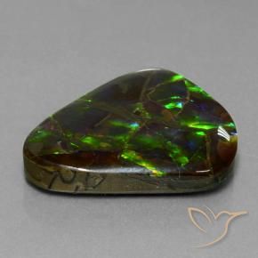 Ammolite Multicolore naturale da 21.05 ct, Taglio trillion, Opaco