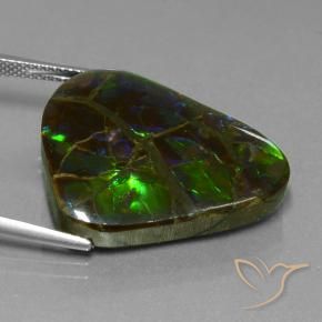 Ammolite Multicolore naturale da 21.05 ct, Taglio trillion, Opaco