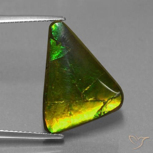 Ammolite naturale multicolore da 11,34 ct, trillion, opaco