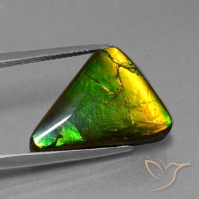 Ammolite naturale multicolore da 11,34 ct, trillion, opaco