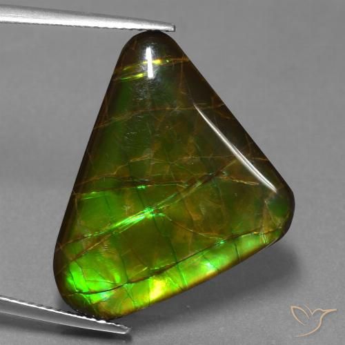 21.83ct Naturale Multicolore Ammolite, Taglio trillion, Opaco
