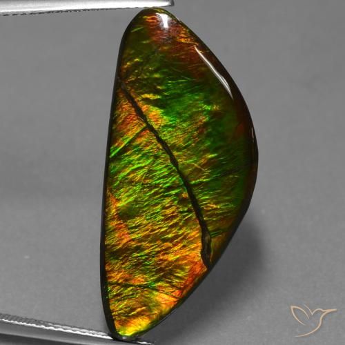 19.31ct Naturale Multicolore Ammolite, Taglio a fantasia, Opaco