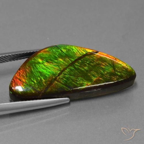 Ammolite Multicolore naturale da 19.31 ct, Taglio a fantasia, Opaco