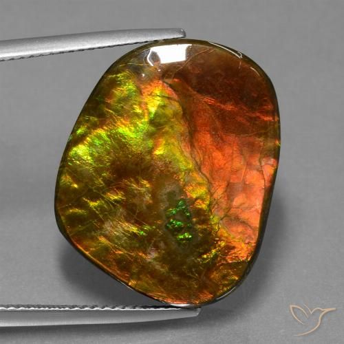 20.65ct Naturale Multicolore Ammolite, Taglio a fantasia, Opaco