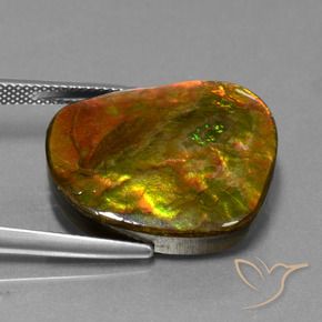 Ammolite Multicolore naturale da 20.65 ct, Taglio a fantasia, Opaco