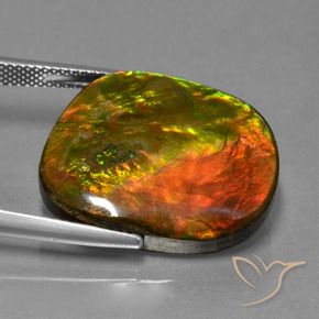 Ammolite Multicolore naturale da 20.65 ct, Taglio a fantasia, Opaco