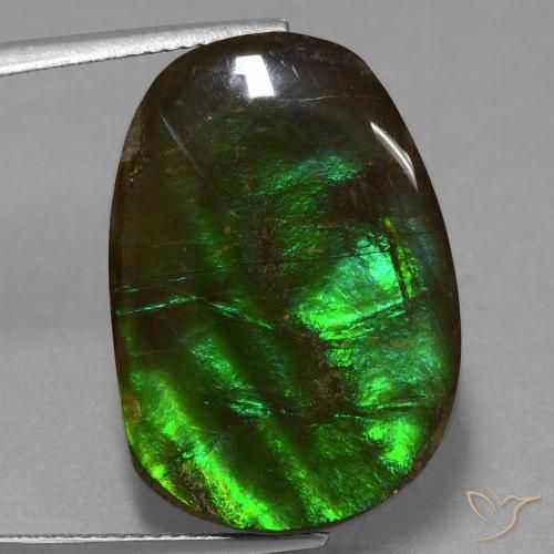 16.23ct Naturale Multicolore Ammolite, Taglio a fantasia, Opaco