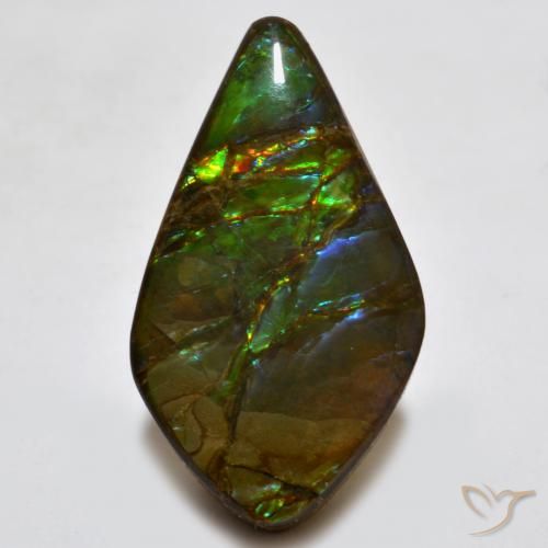 18.15ct Naturale Multicolore Ammolite, Taglio a fantasia, Opaco