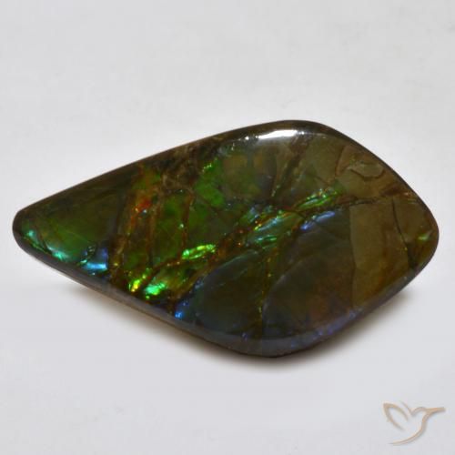 Ammolite Multicolore naturale da 18.15 ct, Taglio a fantasia, Opaco