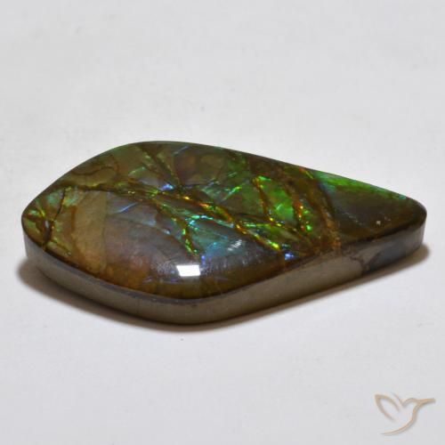 Ammolite Multicolore naturale da 18.15 ct, Taglio a fantasia, Opaco