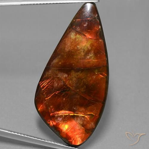 23.09ct Naturale Multicolore Ammolite, Taglio a fantasia, Opaco