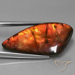 Ammolite Multicolore naturale da 23.09 ct, Taglio a fantasia, Opaco
