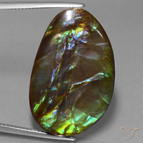 27.74ct Naturale Multicolore Ammolite, Taglio a fantasia, Opaco