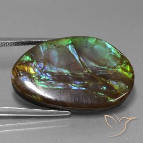 Ammolite Multicolore naturale da 27.74 ct, Taglio a fantasia, Opaco