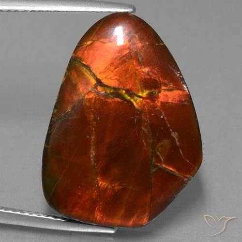 15.20ct Naturale Multicolore Ammolite, Taglio a fantasia, Opaco