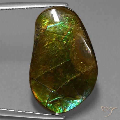 17.83ct Naturale Multicolore Ammolite, Taglio a fantasia, Opaco