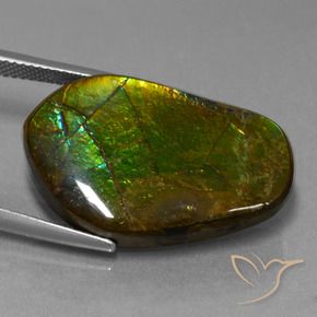 Ammolite Multicolore naturale da 17.83 ct, Taglio a fantasia, Opaco