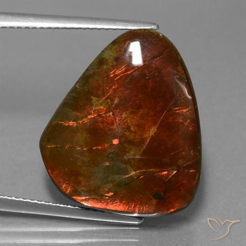 16.97ct Naturale Multicolore Ammolite, Taglio a fantasia, Opaco