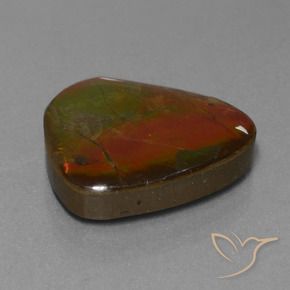 Ammolite Multicolore naturale da 16.97 ct, Taglio a fantasia, Opaco