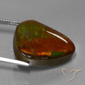 Ammolite Multicolore naturale da 16.97 ct, Taglio a fantasia, Opaco