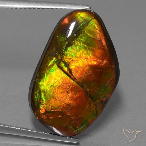 18.18ct Naturale Multicolore Ammolite, Taglio a fantasia, Opaco