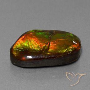 Ammolite Multicolore naturale da 18.18 ct, Taglio a fantasia, Opaco