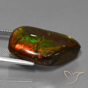 Ammolite Multicolore naturale da 18.18 ct, Taglio a fantasia, Opaco