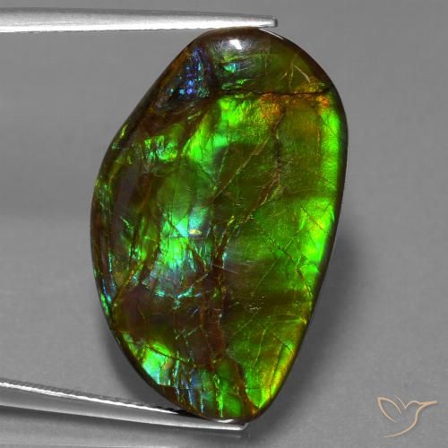 19.80ct Naturale Multicolore Ammolite, Taglio a fantasia, Opaco