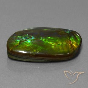 Ammolite Multicolore naturale da 19.80 ct, Taglio a fantasia, Opaco