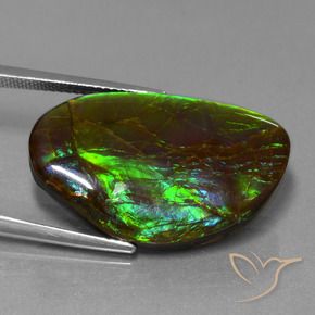 Ammolite Multicolore naturale da 19.80 ct, Taglio a fantasia, Opaco