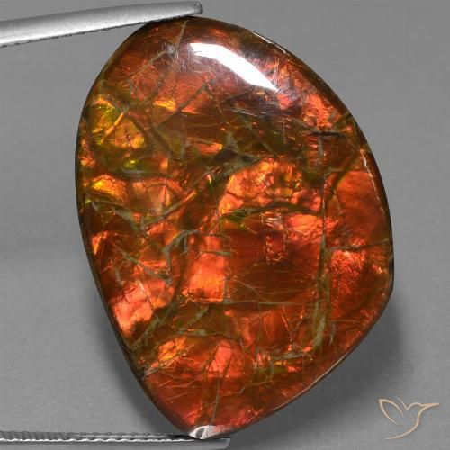 25.32ct Naturale Multicolore Ammolite, Taglio a fantasia, Opaco