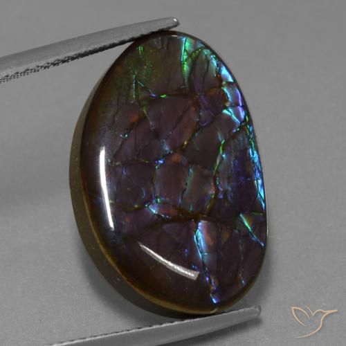 14.02ct Naturale Multicolore Ammolite, Taglio a fantasia, Opaco