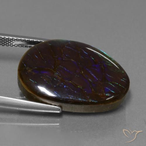 Ammolite Multicolore naturale da 14.02 ct, Taglio a fantasia, Opaco