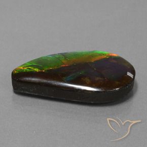 Ammolite Multicolore naturale da 18.29 ct, Taglio a fantasia, Opaco
