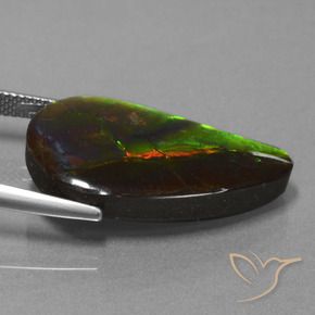 Ammolite Multicolore naturale da 18.29 ct, Taglio a fantasia, Opaco