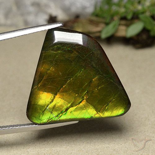 18.57ct Naturale Multicolore Ammolite, Taglio a fantasia, Opaco