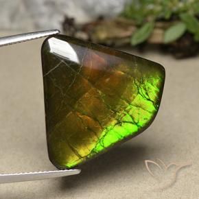 Ammolite Multicolore naturale da 18.57 ct, Taglio a fantasia, Opaco