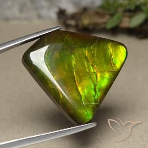 Ammolite Multicolore naturale da 18.57 ct, Taglio a fantasia, Opaco