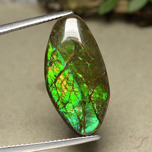 12.62ct Naturale Multicolore Ammolite, Taglio a fantasia, Opaco