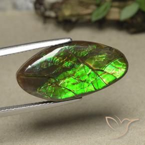 Ammolite Multicolore naturale da 12.62 ct, Taglio a fantasia, Opaco