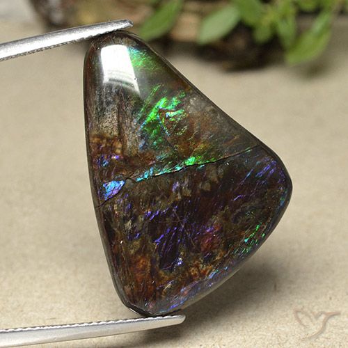 21.94ct Naturale Multicolore Ammolite, Taglio a fantasia, Opaco