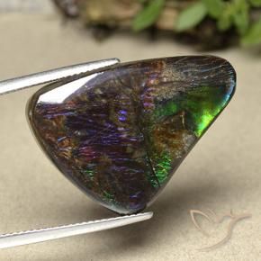 Ammolite Multicolore naturale da 21.94 ct, Taglio a fantasia, Opaco