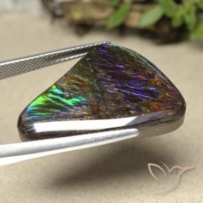 Ammolite Multicolore naturale da 21.94 ct, Taglio a fantasia, Opaco