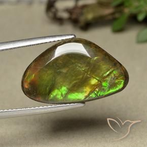 Ammolite Multicolore naturale da 11.44 ct, Taglio a fantasia, Opaco