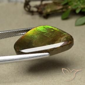 Ammolite Multicolore naturale da 11.44 ct, Taglio a fantasia, Opaco