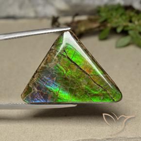 Ammolite Multicolore naturale da 20.55 ct, Taglio trillion, Opaco