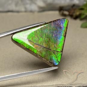 Ammolite Multicolore naturale da 20.55 ct, Taglio trillion, Opaco